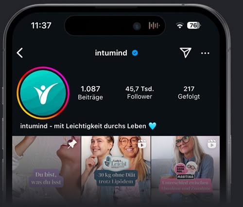 intumind auf Instagram